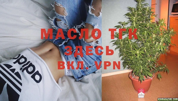 гидропоника Алзамай