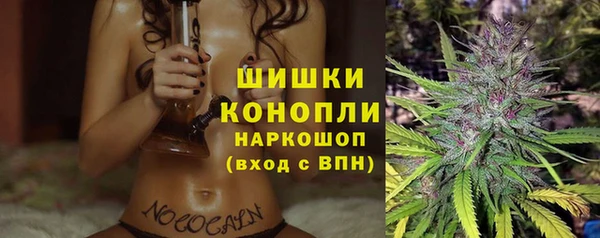 ПСИЛОЦИБИНОВЫЕ ГРИБЫ Абаза