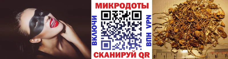 Галлюциногенные грибы Cubensis  Осташков 